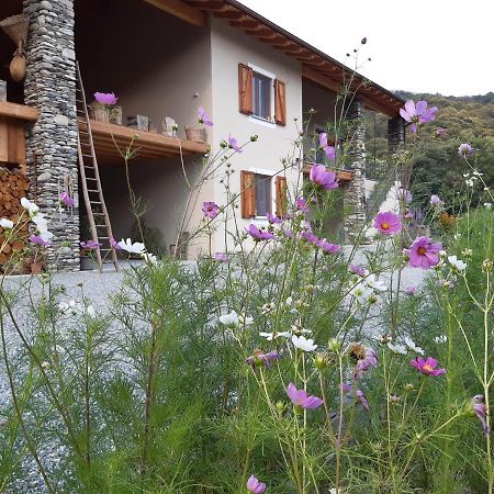 Ferienwohnung Semi Al Vento: La Bio-Casa Nel Giardino Incantato! Paesana Exterior foto