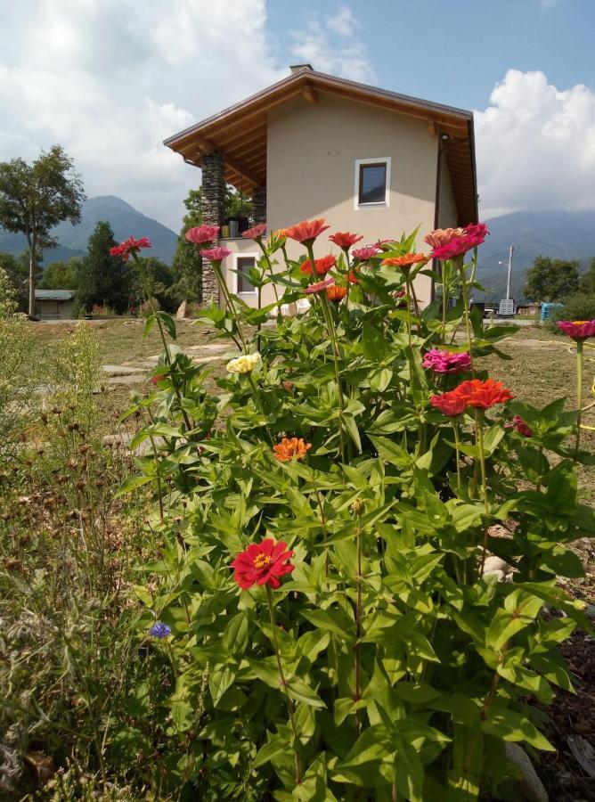 Ferienwohnung Semi Al Vento: La Bio-Casa Nel Giardino Incantato! Paesana Exterior foto
