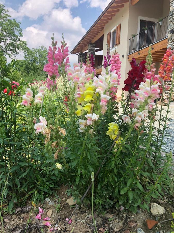 Ferienwohnung Semi Al Vento: La Bio-Casa Nel Giardino Incantato! Paesana Exterior foto
