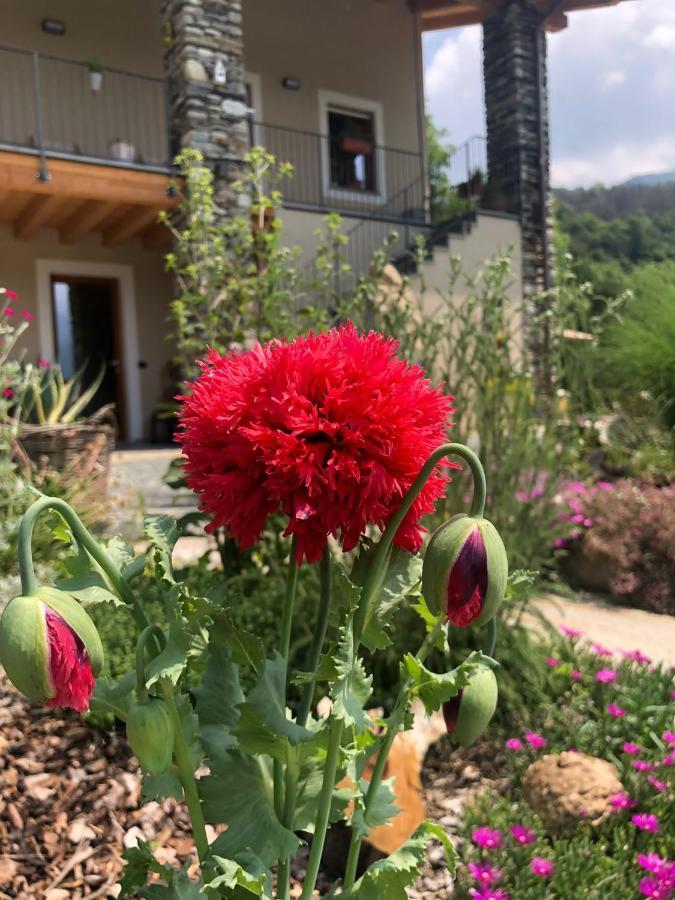 Ferienwohnung Semi Al Vento: La Bio-Casa Nel Giardino Incantato! Paesana Exterior foto