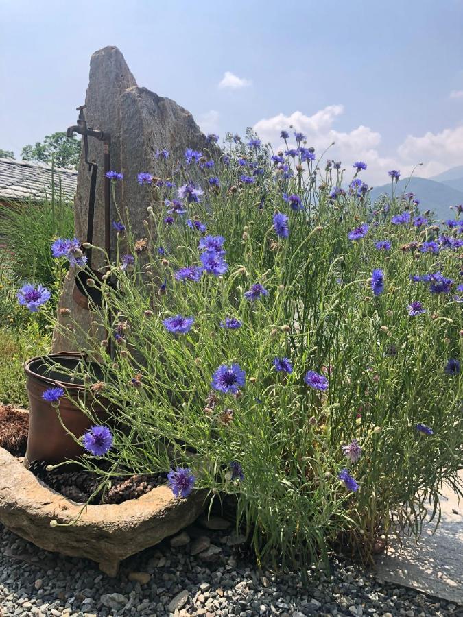 Ferienwohnung Semi Al Vento: La Bio-Casa Nel Giardino Incantato! Paesana Exterior foto