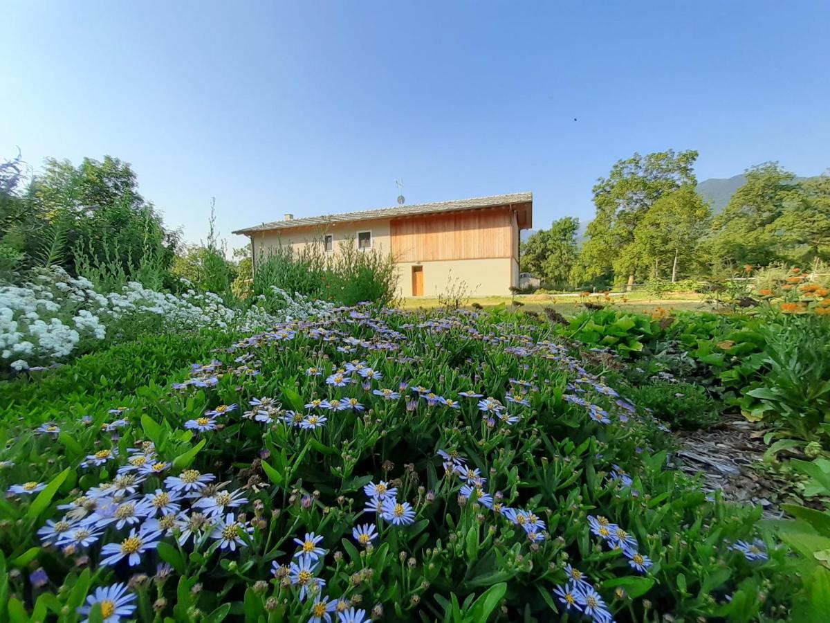 Ferienwohnung Semi Al Vento: La Bio-Casa Nel Giardino Incantato! Paesana Exterior foto
